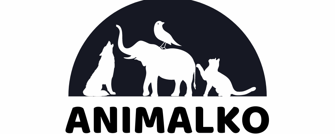 Animalko