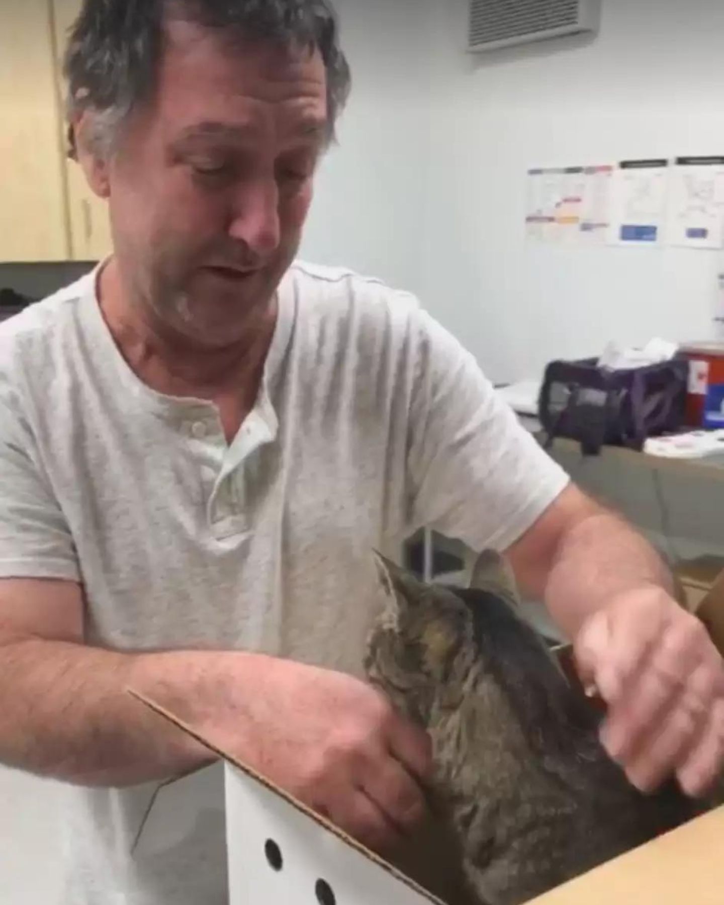 man sees cat