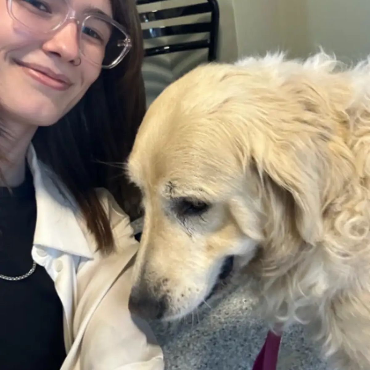 woman and golden retriever